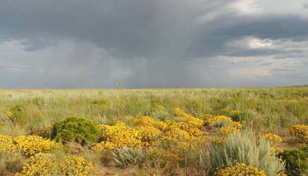 NM Grasslands