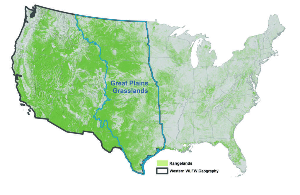 Map of Great Plains Grassland Biome