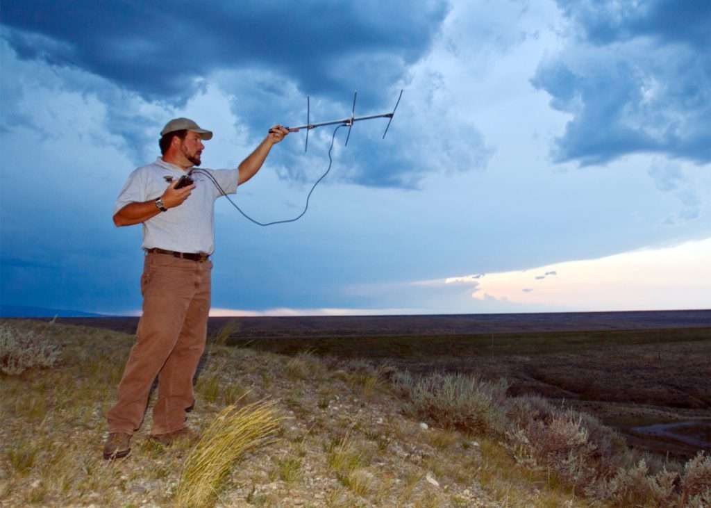 Scientists using telemetry