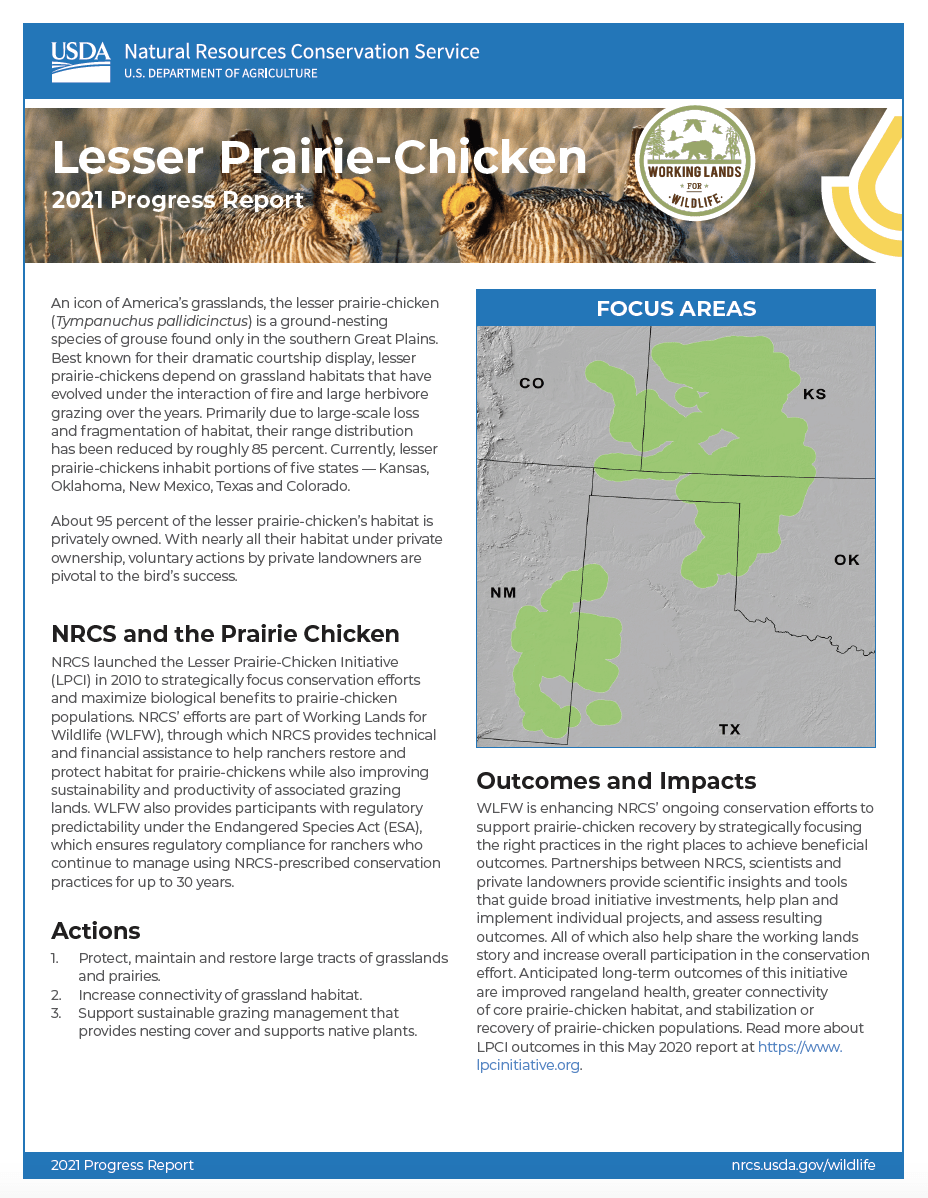 Cover image of 2021 LPCI scorecard