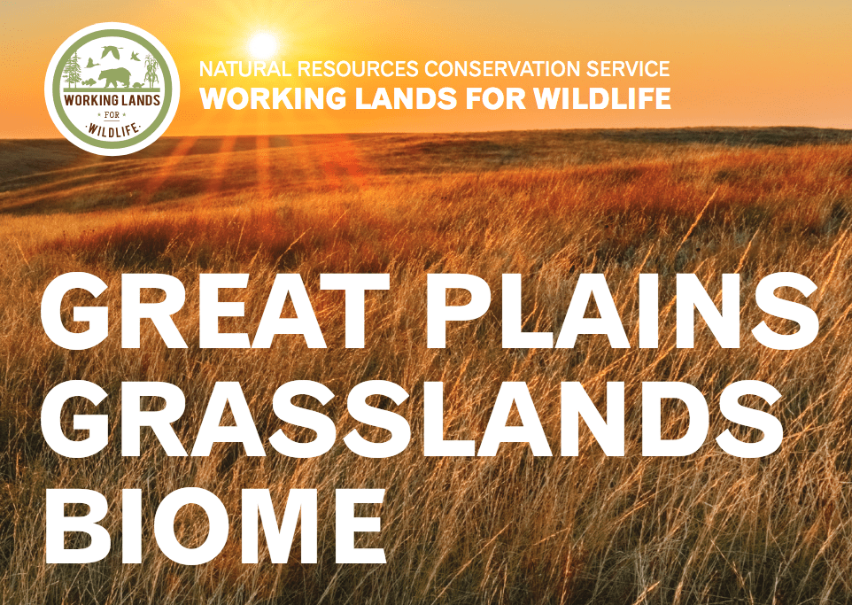 Image of Great Plains framework cover